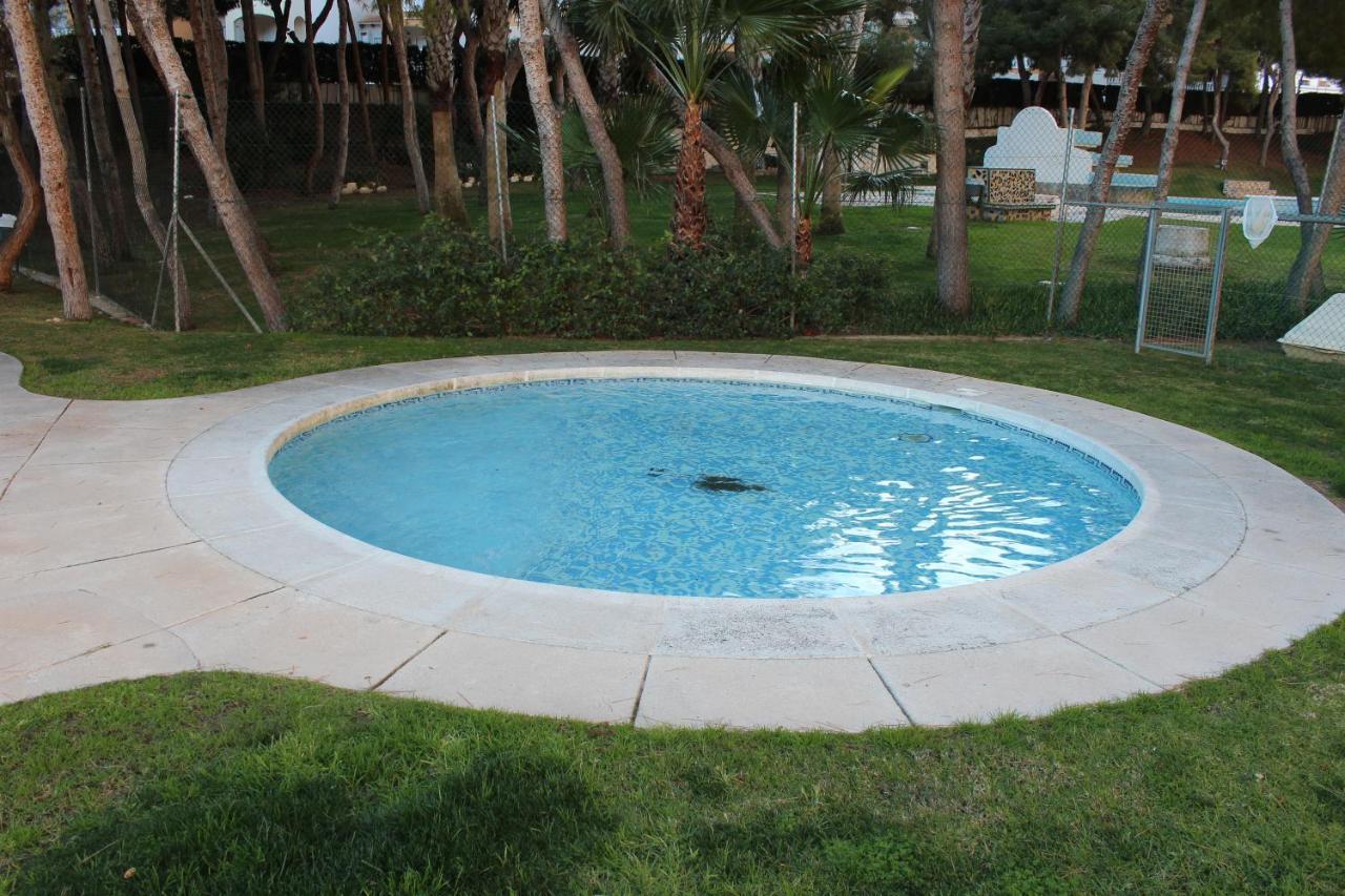 New Apartment With Sea View Of Andrew And Natallia كامبوامور المظهر الخارجي الصورة
